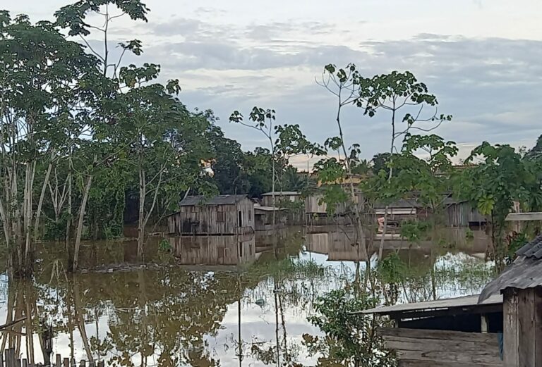 Alerta: Nível do rio Iaco sobe 14 centímetros de domingo para segunda