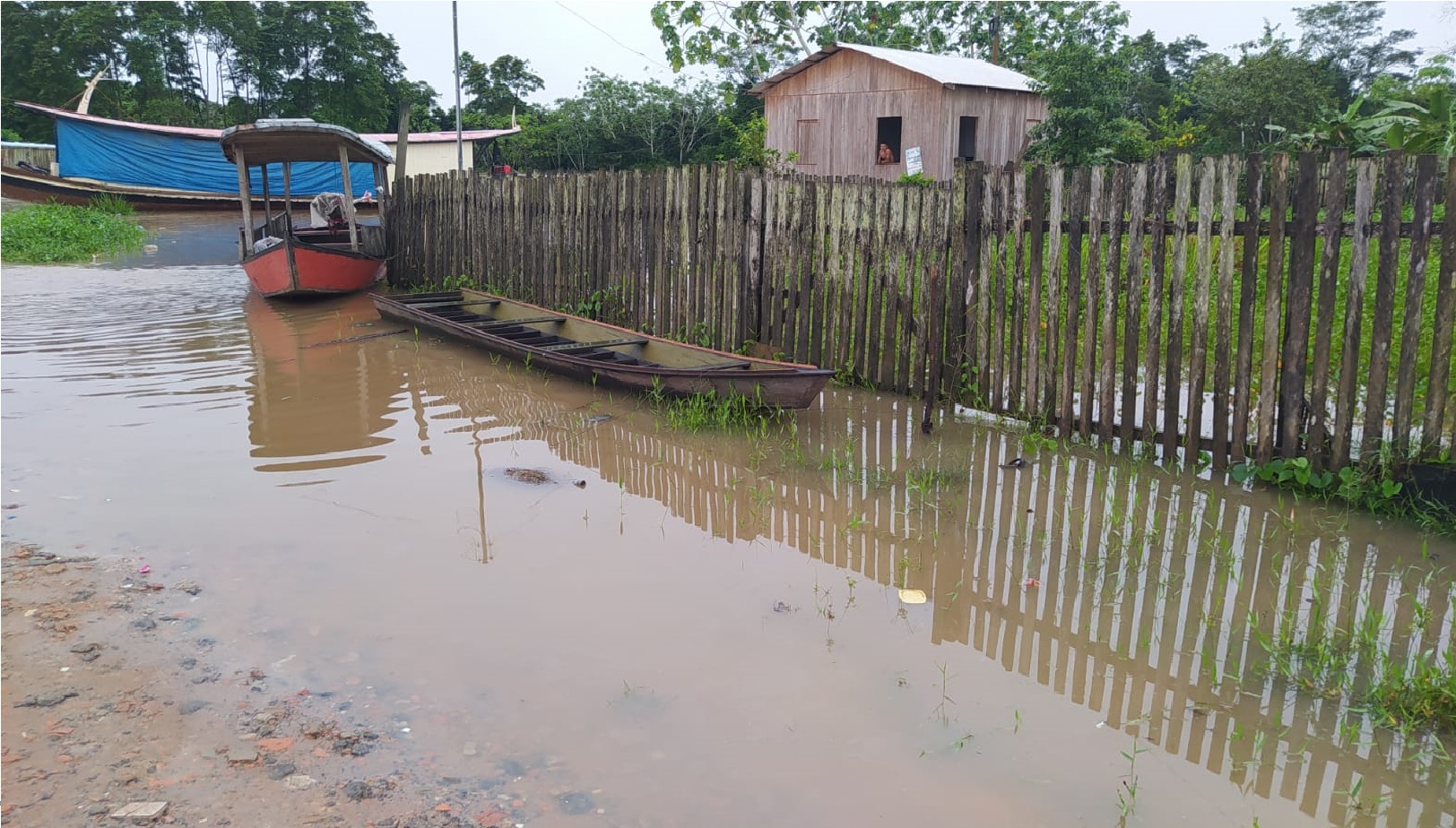 Rio Envira volta a transborbar e isola comunidades indígenas