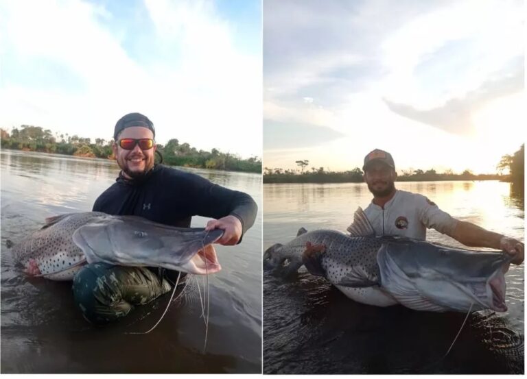 Pescadores fisgam peixe de 1,70 m e quase 60 kg: ‘o parrudão foi nosso troféu’; veja vídeo