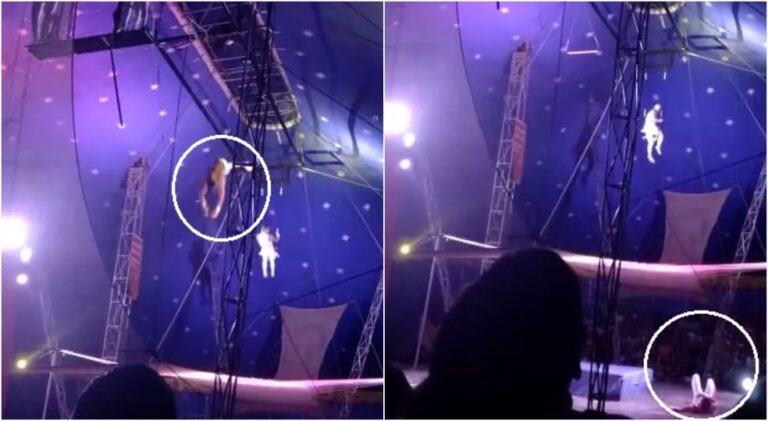 VÍDEO: trapezista despenca durante exibição em estreia de circo na Grande Fortaleza