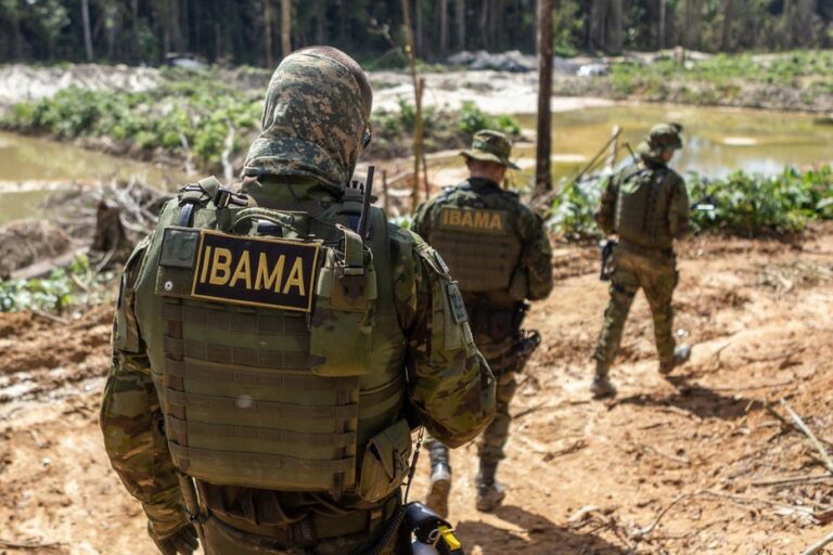 Ibama publica editais com 1.143 vagas para todos os níveis