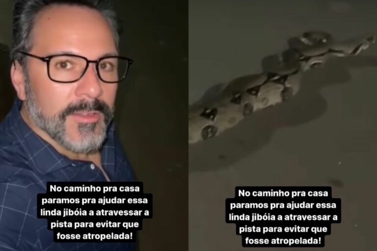 Alan Rick mostra cobra no meio da rua e ajuda o animal a voltar para natureza: “Aqui no Acre é assim”