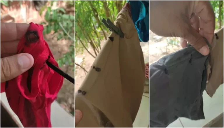 Raio queima cuecas estendidas em fio usado como varal durante temporal; veja fotos