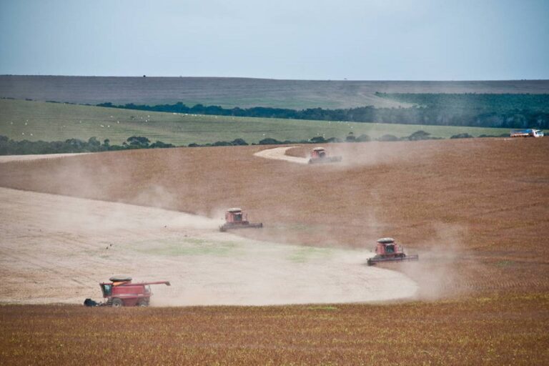 PIB de estados atrelados ao agro deve crescer mais na pandemia, diz Folha; Acre recua