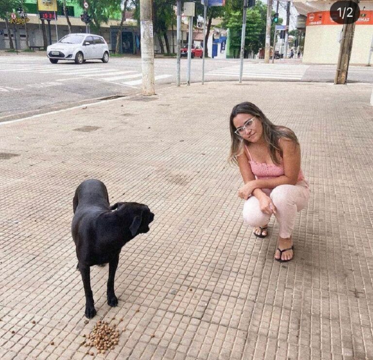 No Acre, apoiadora de causas animal e social idealiza projeto e busca voluntários