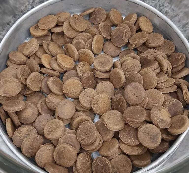 Resíduos de rãs e tambaquis são transformados em petiscos para cães