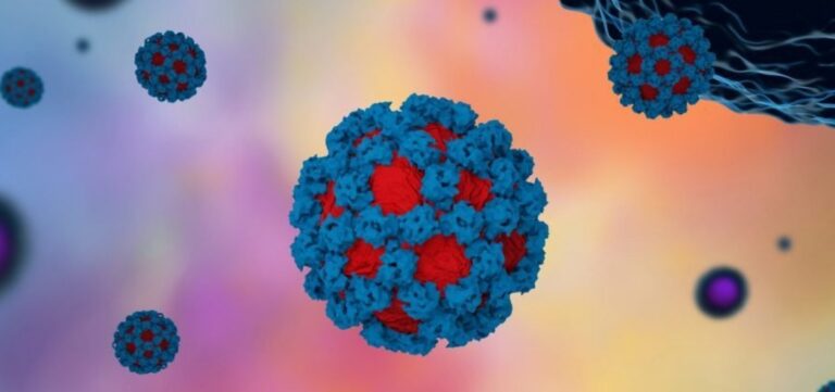 Veja os sintomas do norovírus, que está se espalhando na Bahia