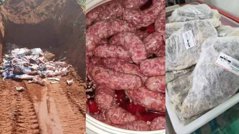 Operação apreende mais de 1 tonelada de alimentos ilegais, entre eles carne de abate clandestino