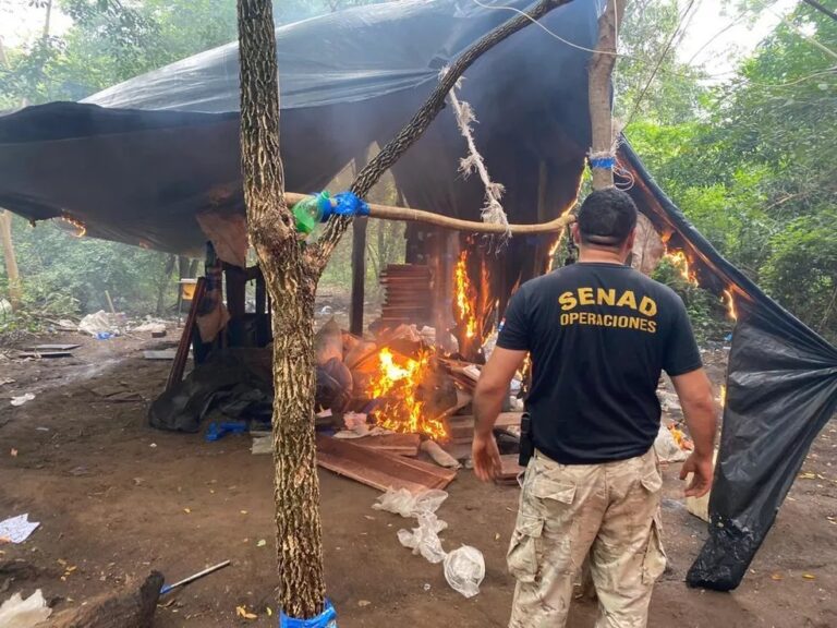 Polícia paraguaia apreende 38 toneladas de maconha em entreposto de produção na região de fronteira com o Brasil