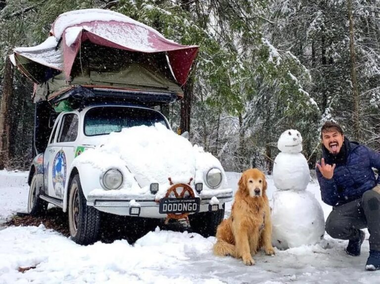 Acidente nos EUA mata influenciador e golden retriever de SC que viajavam em Fusca