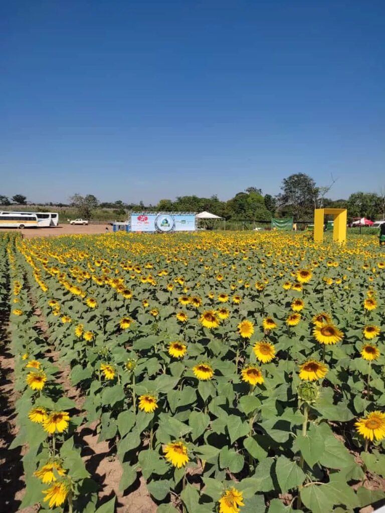 Galeria: veja fotos do 3º dia da 9ª Rondônia Rural Show