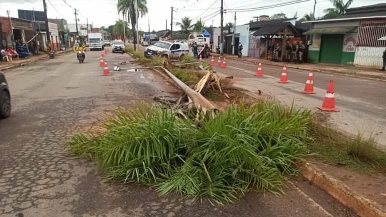 Viatura da PM se envolve em acidente e colide com palheiras e poste em Rio Branco