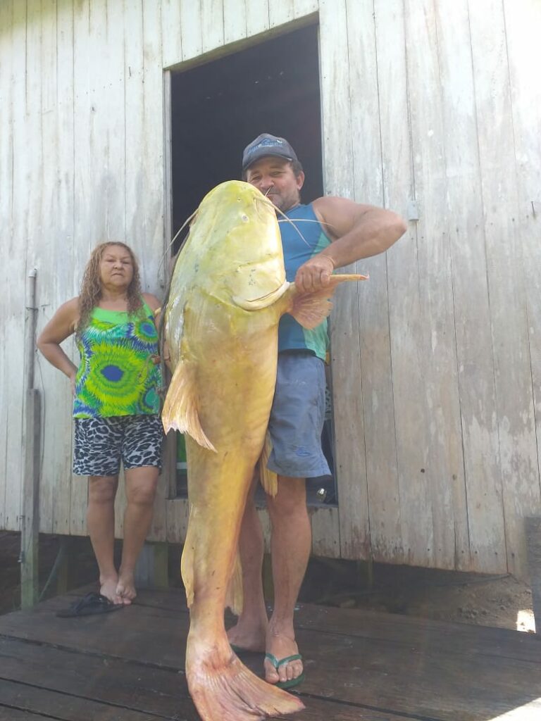 Em Sena Madureira, pescador fisga peixe gigante de 58 quilos no Rio Macuã