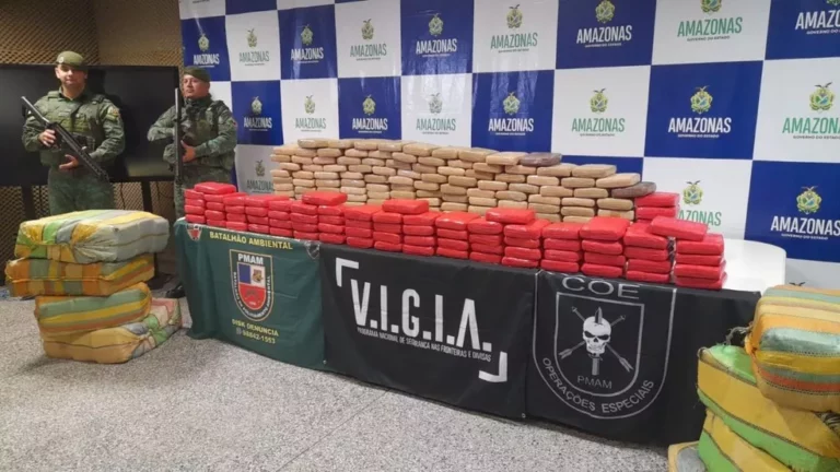 SSP apreende 600 kg de maconha do tipo skunk no Amazonas