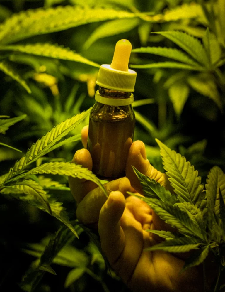 Brasil precisa difundir mais informações sobre produtos à base de cannabis medicinal, diz associação