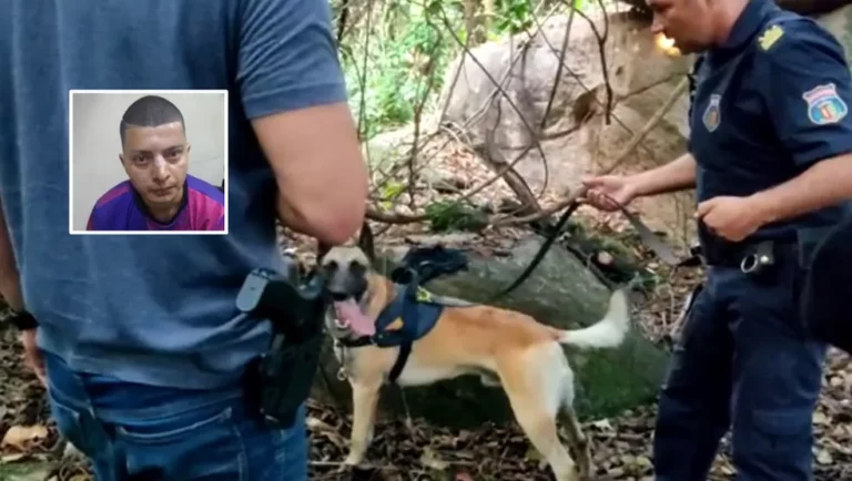 Suspeito de matar estudante da Unicamp com 28 facadas confessa crime, diz delegado