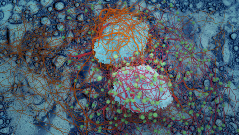 Estudo descobre o que deixou o ser humano mais propenso ao câncer