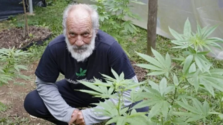 Ator Ricardo Petraglia mostra plantação de maconha em casa e defende uso