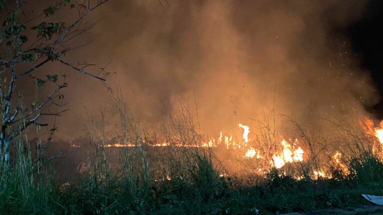 Vídeo: incêndio atinge área de mata próximo à Arena da Floresta