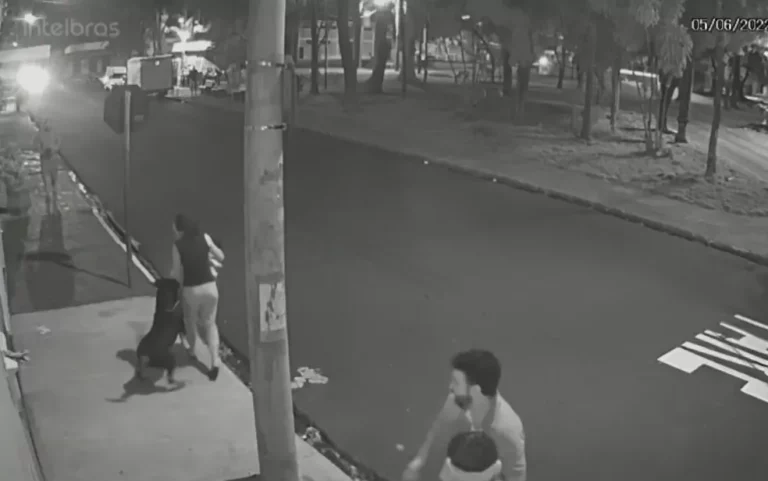 Rottweiler salta de carro em movimento e ataca mulher que passeava com cão e filho; VÍDEO