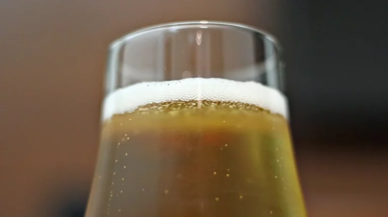 Tomar uma cerveja por dia faz bem para saúde do intestino, diz estudo