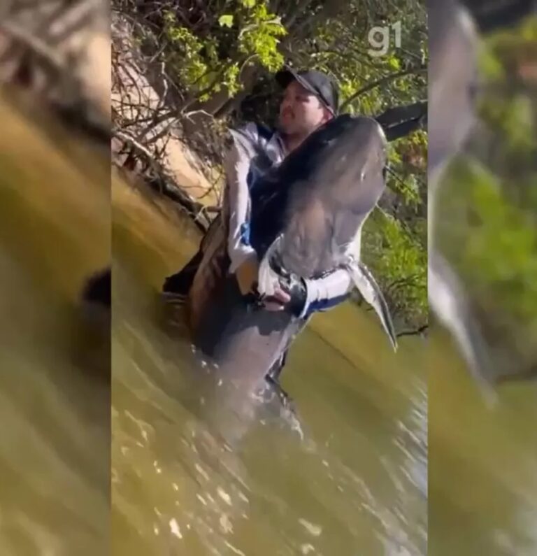 Vídeo: Cirurgião plástico pesca peixe de quase 2 metros em rio