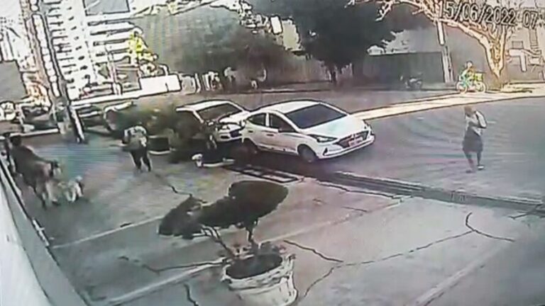 Vídeo: Homem mostra o pênis para mulheres na rua em Belém