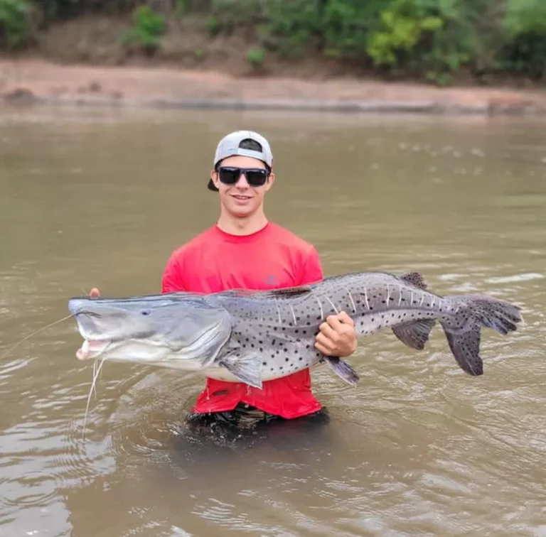 Em sua 1ª pesca esportiva, jovem fisga pintado com mais de 1m e quase 60 kg em rio