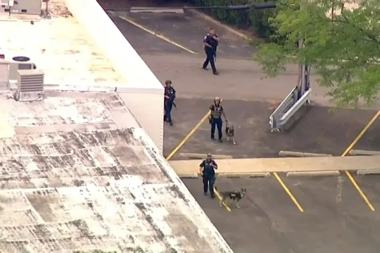 Suspeito de matar seis a tiros e ferir mais de 20 é preso