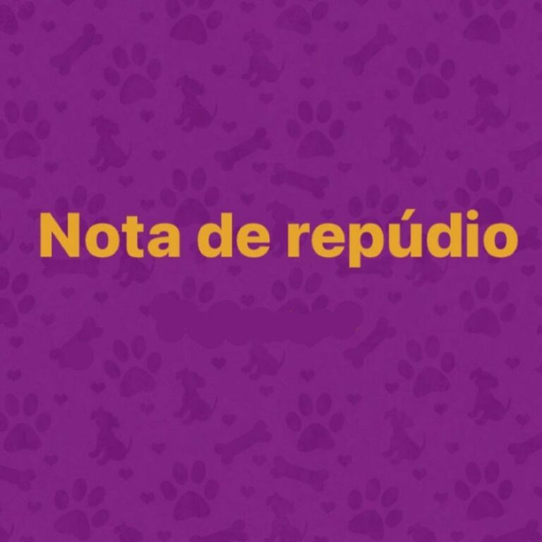 ONG Patinha Carente denuncia que cachorro foi atropelado de forma proposital em Rio Branco