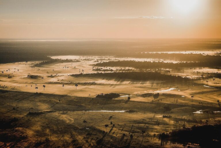 Repórter fotográfico acreano promove exposição sobre as belezas da floresta amazônica