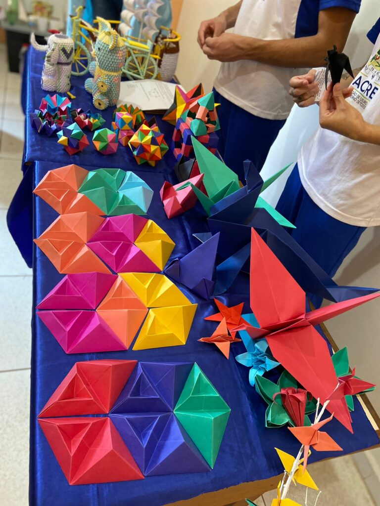 Jovens do sistema socioeducativo do AC são destaque nacional com projeto de feira de ciências