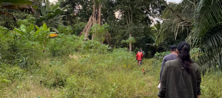 Projeto vai mapear insetos transmissores da leishmaniose no Acre