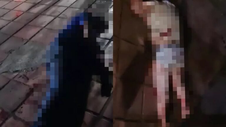 Durante discussão, casal é atacado por cão de estimação e fica gravemente ferido