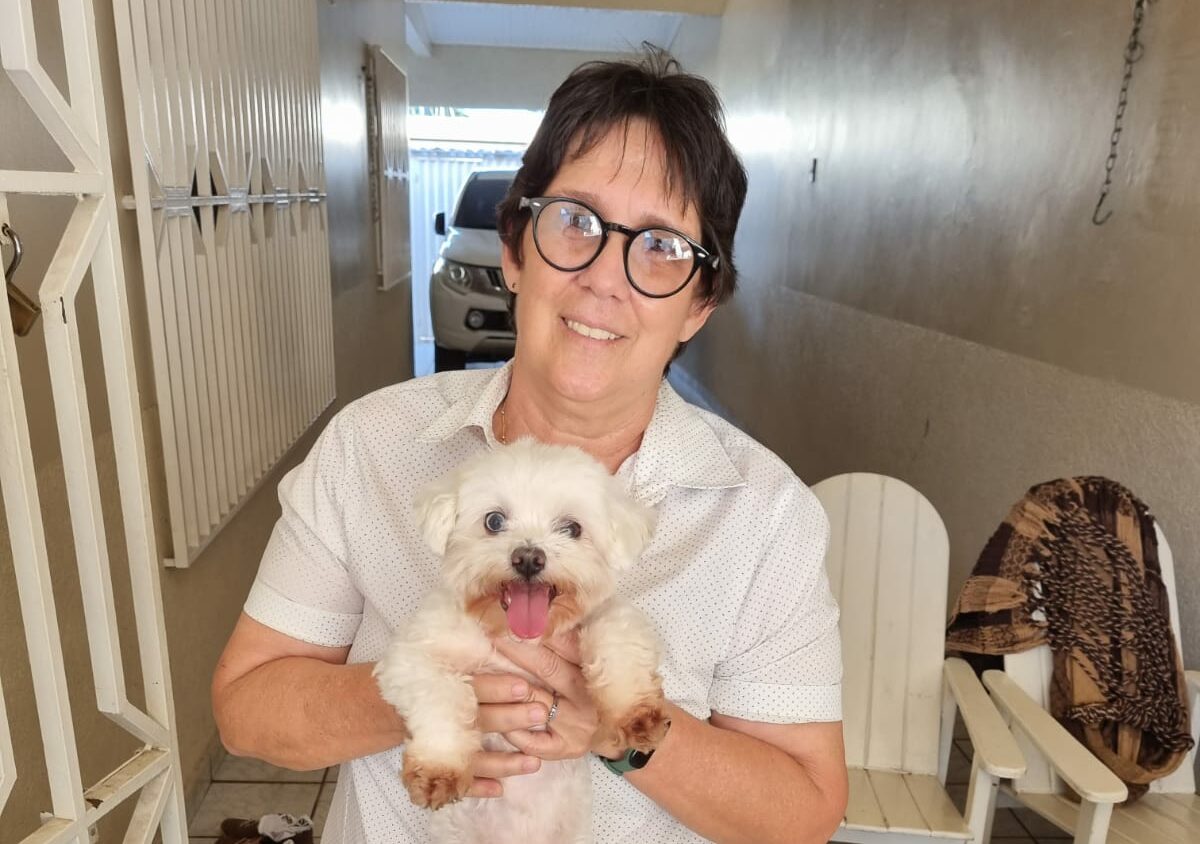 Cão resgatado no trânsito