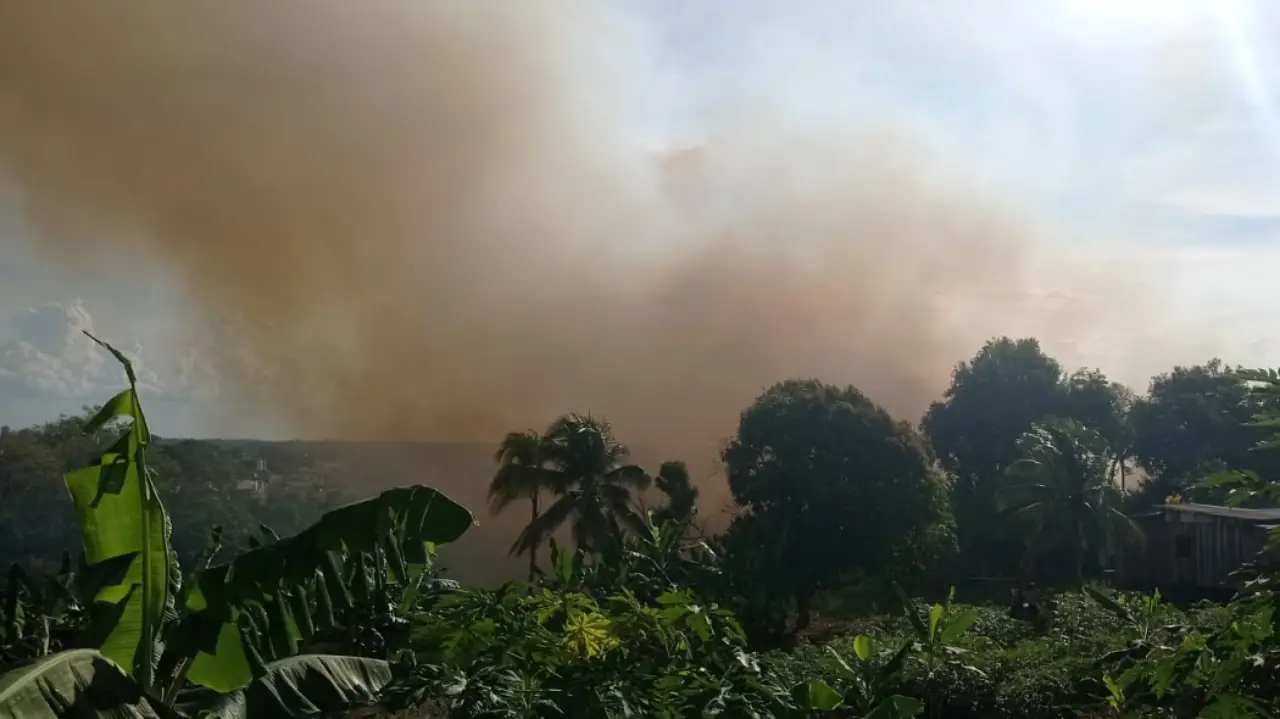 Fogo queima região de mata e roçado no bairro Placas: moradores ficam apavorados