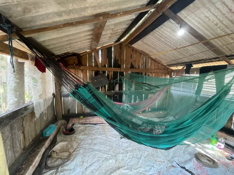 Quase 30 pessoas em situação análogo a escravidão foram resgatadas