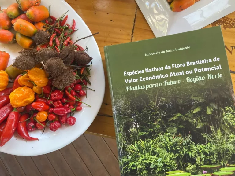 Publicação detalha plantas nativas da Amazônia e incentiva o uso econômico da biodiversidade