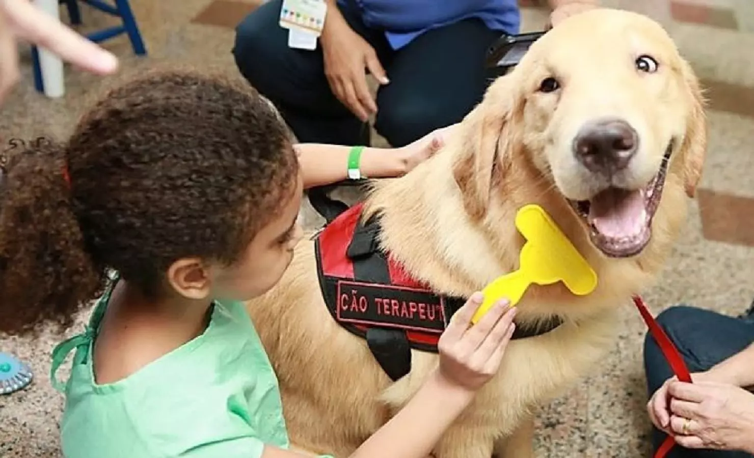 Cães de terapia ou assistência passam a poder entrar em locais públicos e privados no Acre