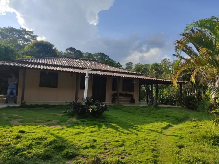 Mulher é presa suspeita de mandar matar a mãe de 80 anos e o irmão para ficar com dinheiro