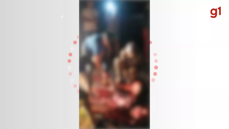 VÍDEO: Vaca é atropelada e moradores disputam pedaços de carne do animal morto