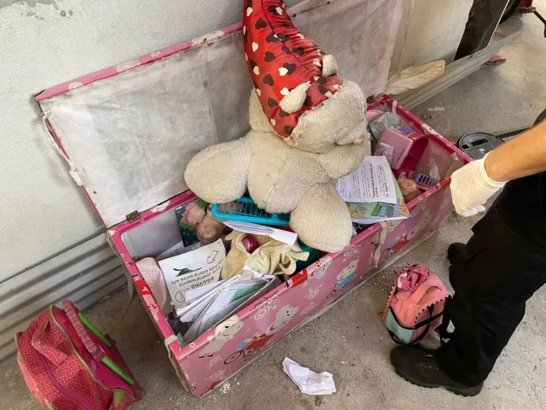 Tia abusa sexualmente da sobrinha de 9 anos, filma crime e vende vídeos, diz polícia