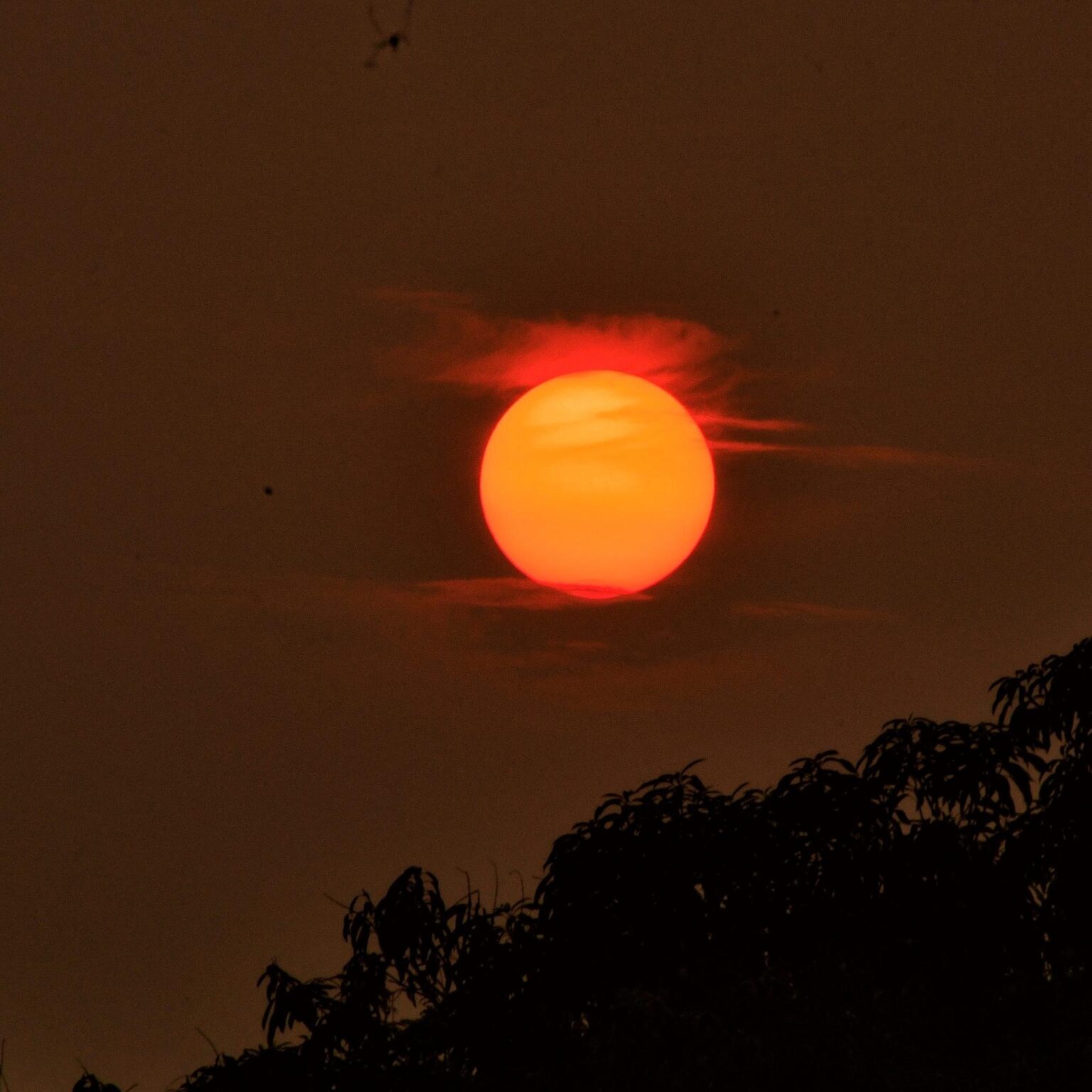 Nascer do sol no Acre