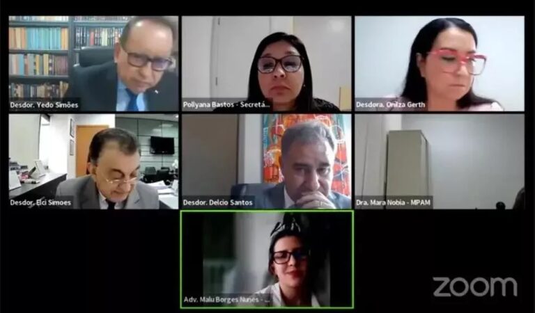 Desembargador repreende advogada por estar com bebê em sessão online: VÍDEO