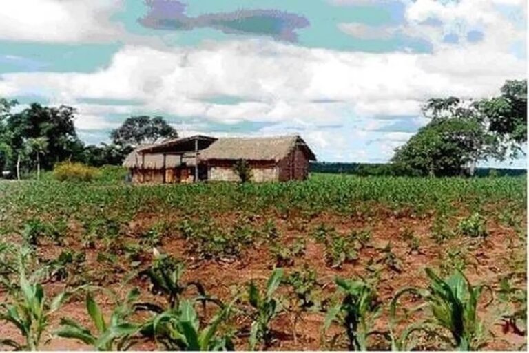 Comunidade Indígena: marido tentar cortar o pescoço da mulher com facão