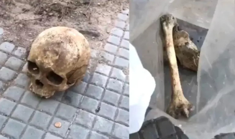 Ossada humana é encontrada dentro de sacola próxima de escola