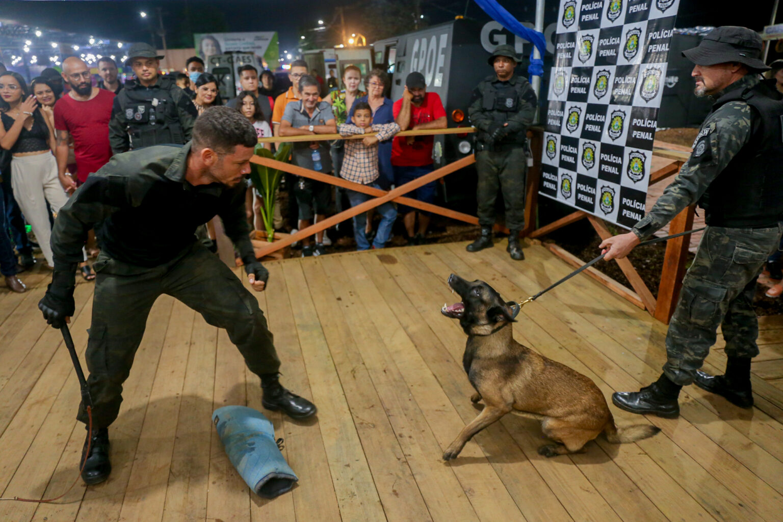 Cães farejadores se apresentam na Expoacre 2022