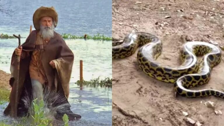 ‘Velho do Rio’ é flagrado em pátio de hotel; veja vídeo