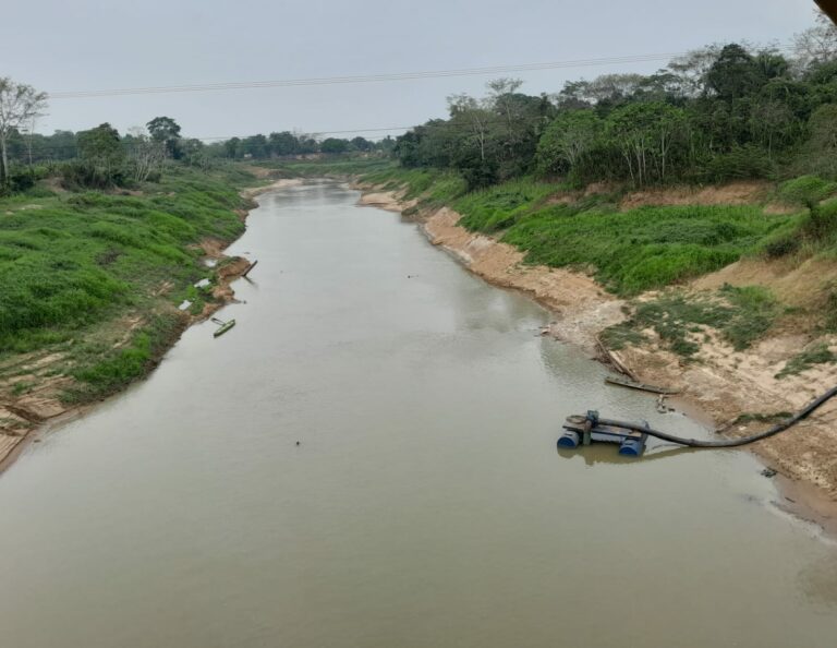 Em Sena, cobra gigante é vista em local frequentado por banhistas: “Preocupado”