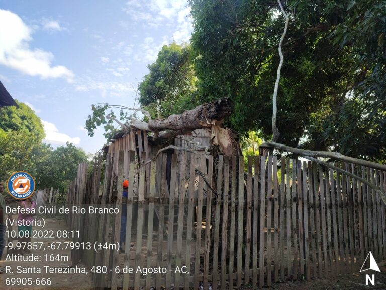 VÍDEO: Árvore cai em cima de casa durante temporal em Rio Branco